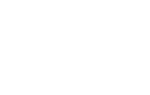irida-logo-white