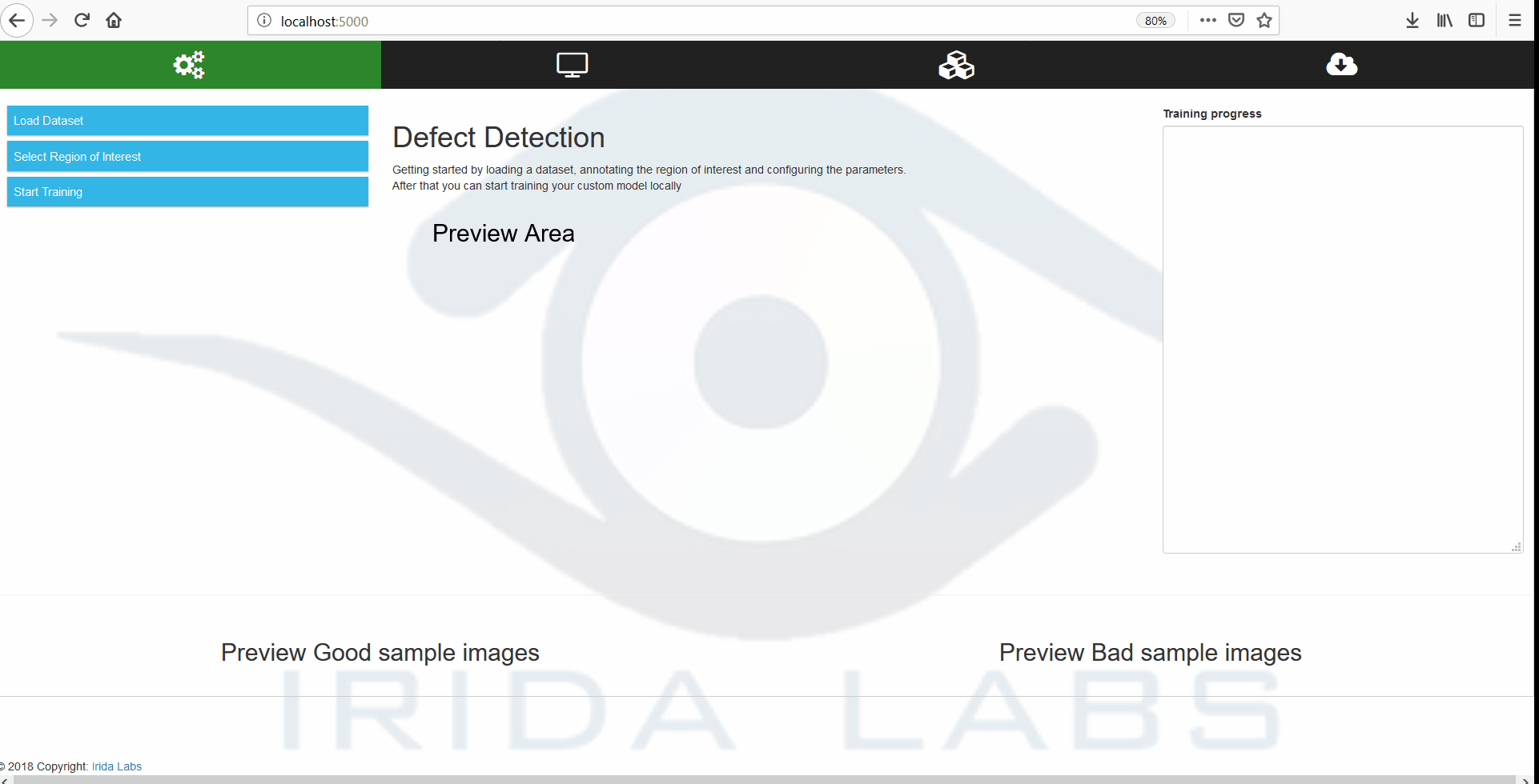 Defect Detection