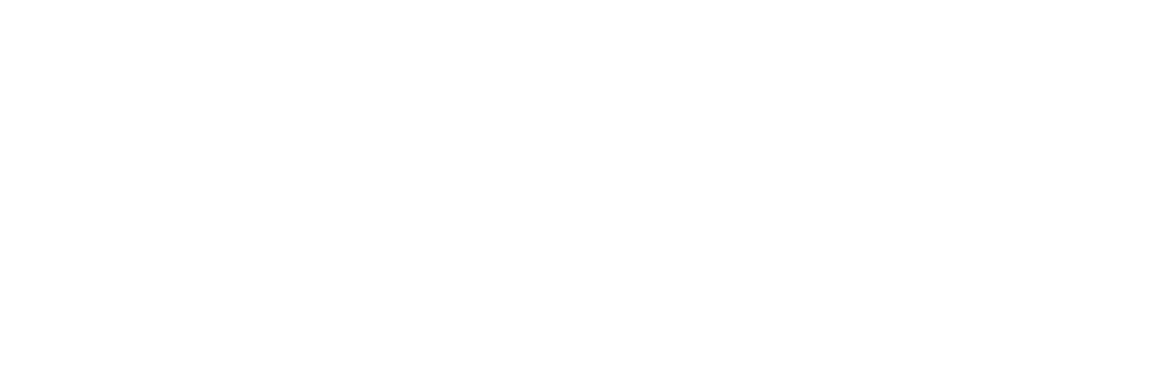 Basler Logo