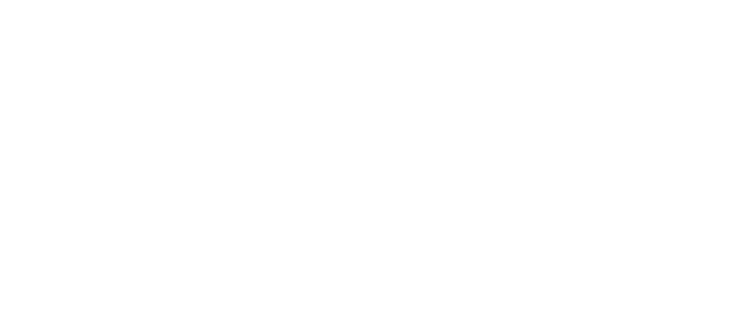 Ceva Logo