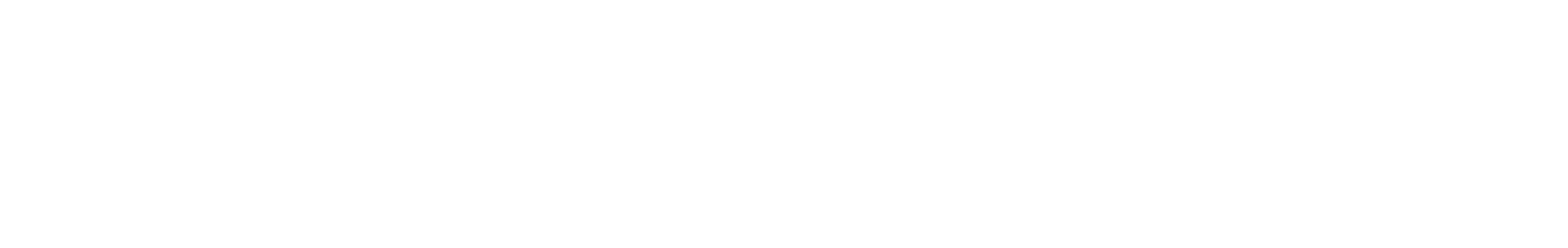 Hikvision Logo